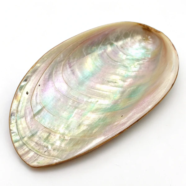 Mother of Pearl Stone
