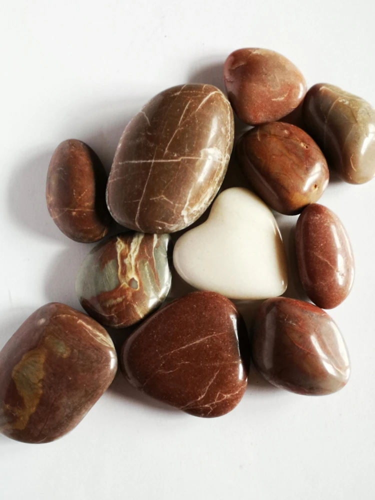 Petrified Wood Dendrolite Cabochons Polished petrified wood dendrolite cabochons displaying rich colors and ancient tree patterns