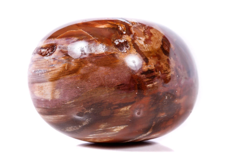 Nephrite Jade Stones Closeup Polished tumbled petrified wood stones showing smooth surfaces and vibrant natural colors