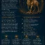 Year of the Horse 2026 for Aries: Love, Career, Money & Life Predictions